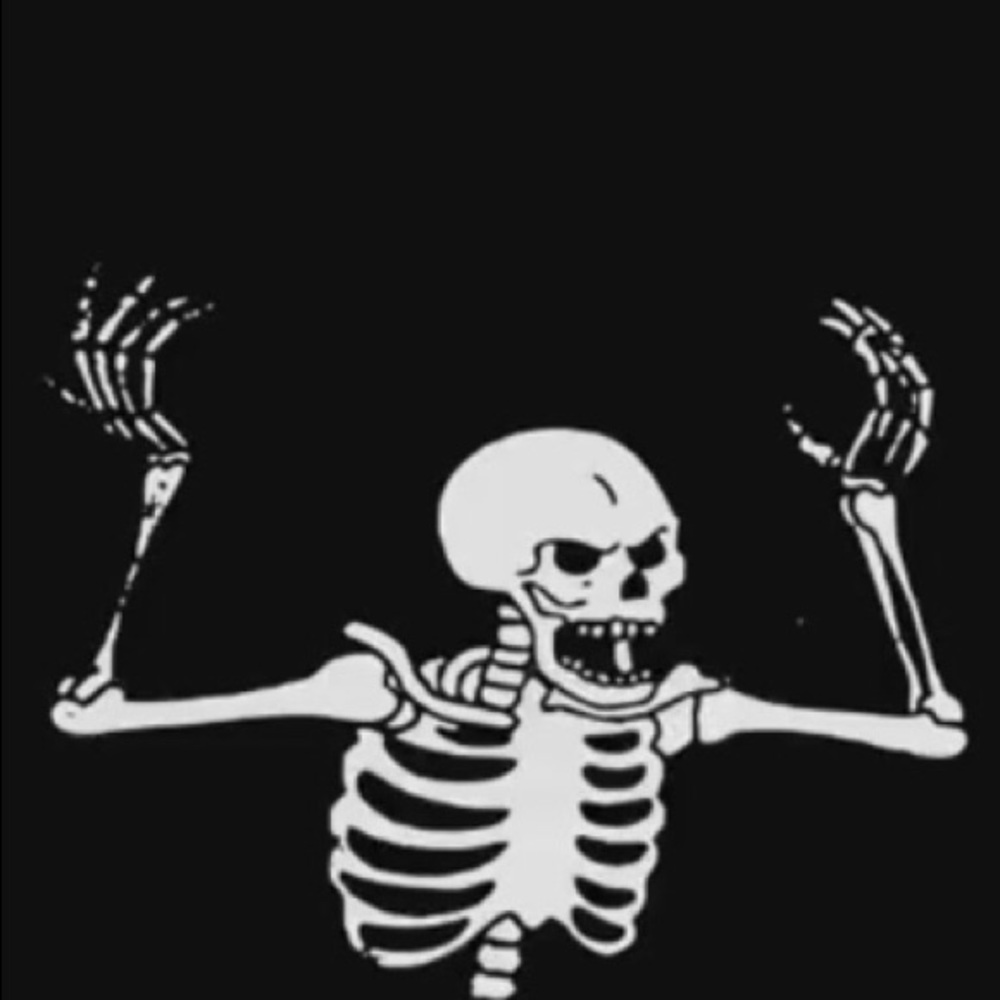 Meet your Posher, Izzy